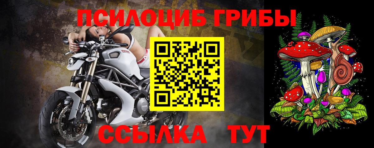 Обнинск  Галлюциногенные грибы Cubensis  Вход с VPN 